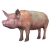 JlopiDima