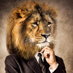 c7-redwings-77's avatar