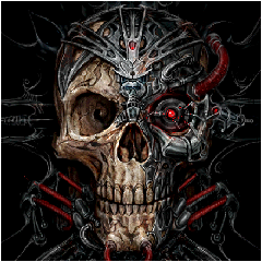 karmt666的头像