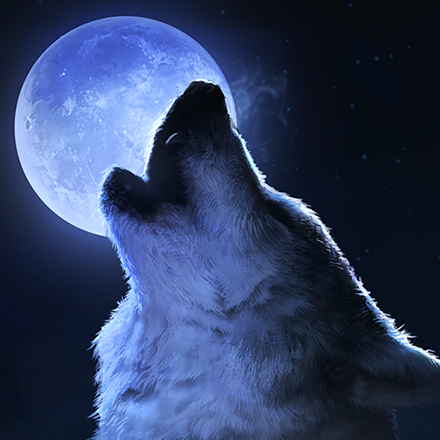 XDarkGalaxyWolf's Avatar