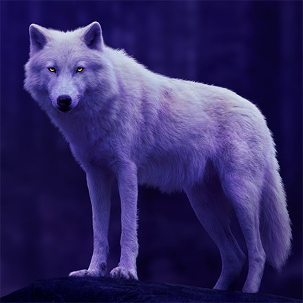 STARK_WinterWOLF's Avatar