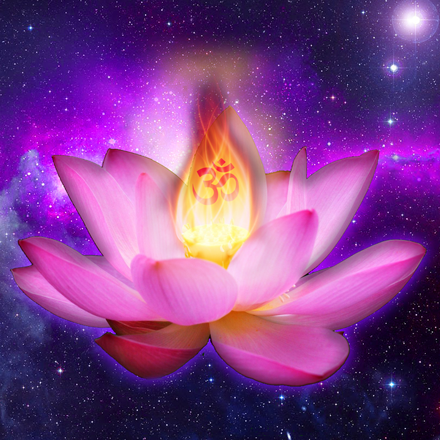 Light_Energy_'s Avatar