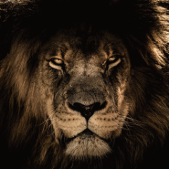 xXhaydar_ayedXx's Avatar